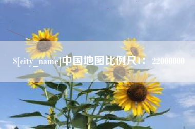 龙岩中国地图比例尺1：22000000
