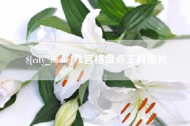 龙岩九宫格盘点工具图片