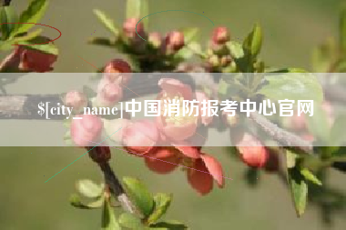 龙岩中国消防报考中心官网