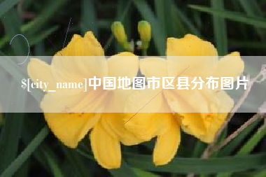 龙岩中国地图市区县分布图片