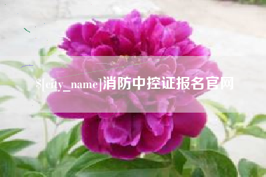 龙岩消防中控证报名官网