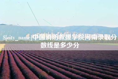 龙岩中国消防救援学院河南录取分数线是多少分