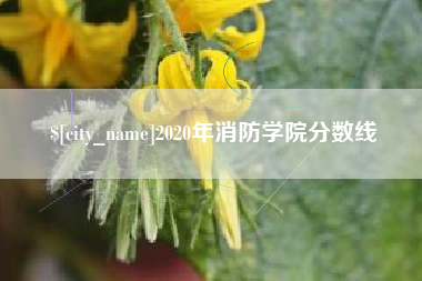 龙岩2020年消防学院分数线