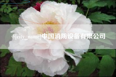 龙岩中国消防设备有限公司