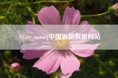 龙岩中国消防救援网站
