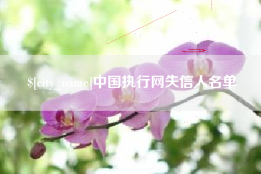 龙岩中国执行网失信人名单