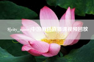龙岩中国消防直播课视频回放