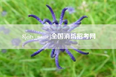 龙岩全国消防招考网