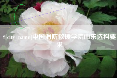 龙岩中国消防救援学院山东选科要求
