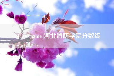 龙岩河北消防学院分数线