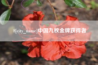 龙岩中国九枚金牌获得者