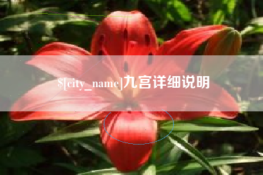 龙岩九宫详细说明