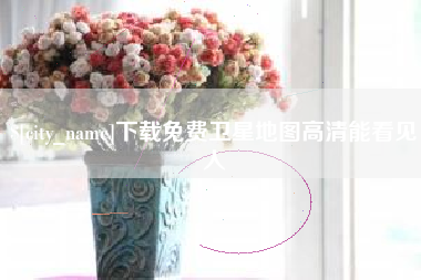 龙岩下载免费卫星地图高清能看见人