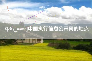 龙岩中国执行信息公开网的地点