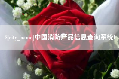 龙岩中国消防产品信息查询系统1