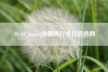 龙岩中国执行执行信息网