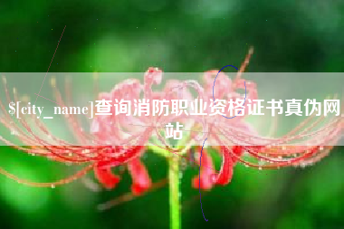 龙岩查询消防职业资格证书真伪网站