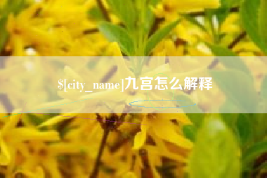 龙岩九宫怎么解释