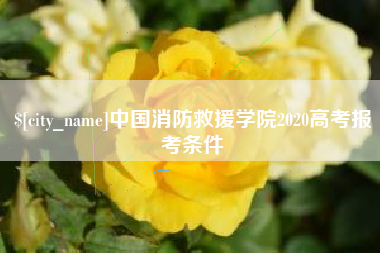 龙岩中国消防救援学院2020高考报考条件