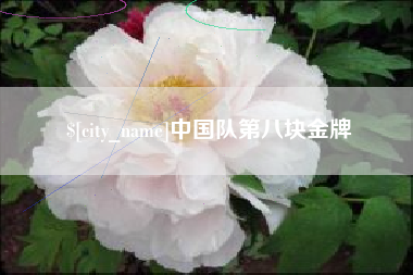 龙岩中国队第八块金牌