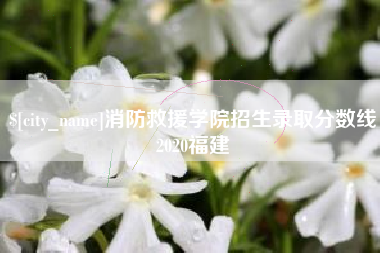 龙岩消防救援学院招生录取分数线2020福建