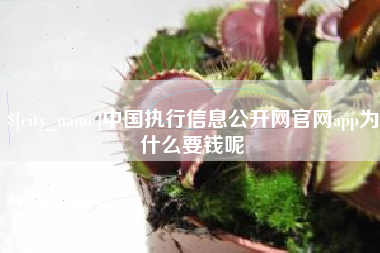 龙岩中国执行信息公开网官网app为什么要钱呢