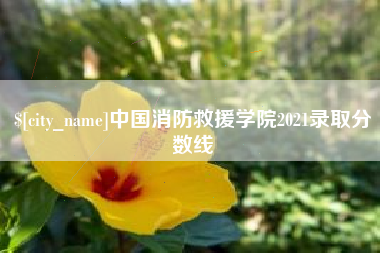 龙岩中国消防救援学院2021录取分数线