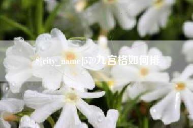 龙岩579九宫格如何排