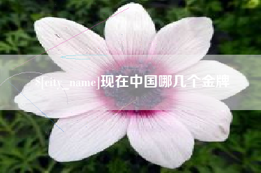 龙岩现在中国哪几个金牌