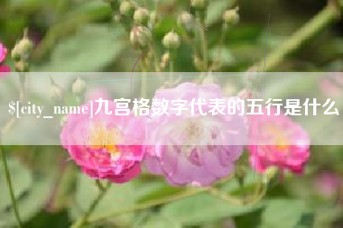 龙岩九宫格数字代表的五行是什么