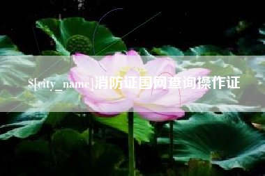 龙岩消防证国网查询操作证