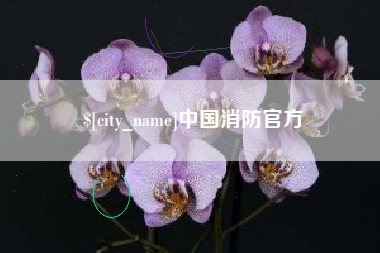 龙岩中国消防官方