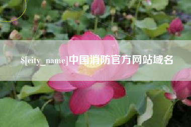 龙岩中国消防官方网站域名