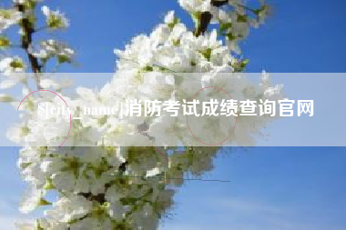 龙岩消防考试成绩查询官网