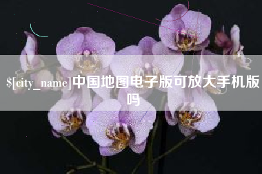龙岩中国地图电子版可放大手机版吗