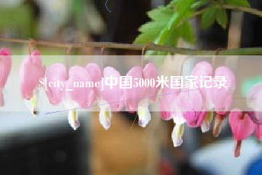 龙岩中国5000米国家记录
