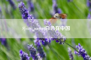 龙岩白色在中国
