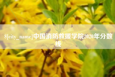 龙岩中国消防救援学院2020年分数线