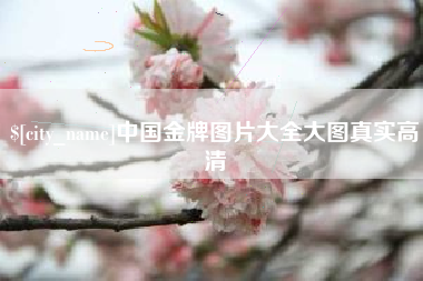 龙岩中国金牌图片大全大图真实高清