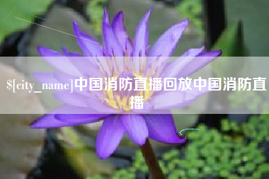 龙岩中国消防直播回放中国消防直播