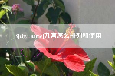龙岩九宫怎么排列和使用