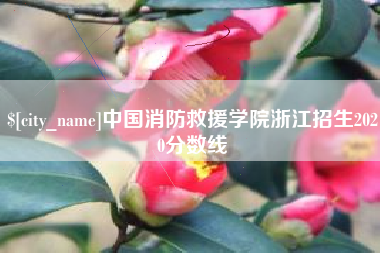 龙岩中国消防救援学院浙江招生2020分数线