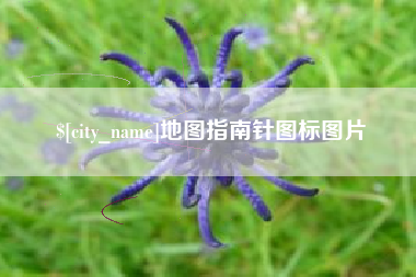 龙岩地图指南针图标图片
