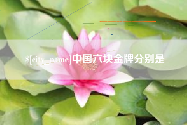 龙岩中国六块金牌分别是
