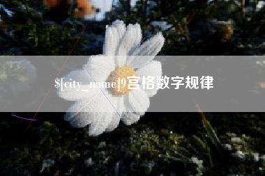 龙岩9宫格数字规律