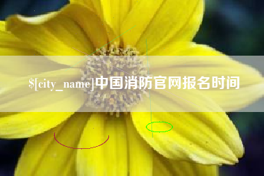 龙岩中国消防官网报名时间