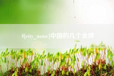 龙岩中国的几个金牌