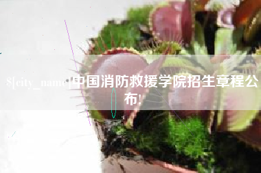 龙岩中国消防救援学院招生章程公布!