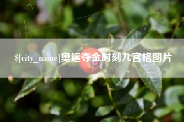 龙岩奥运夺金时刻九宫格图片