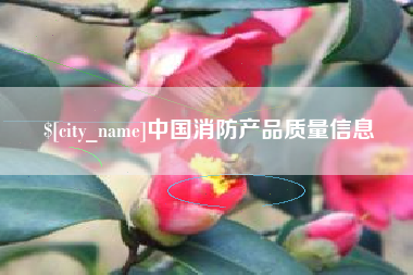 龙岩中国消防产品质量信息